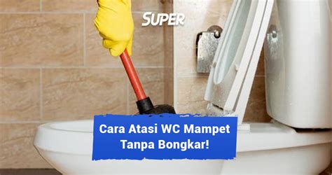 10 Cara Mudah Mengatasi WC Mampet Tanpa Perlu Bongkar