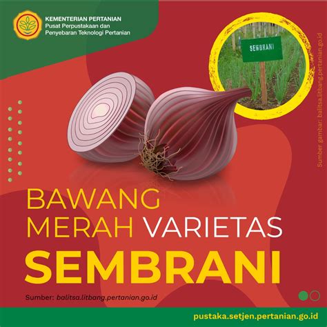 Bawang Merah Varietas Sembarani