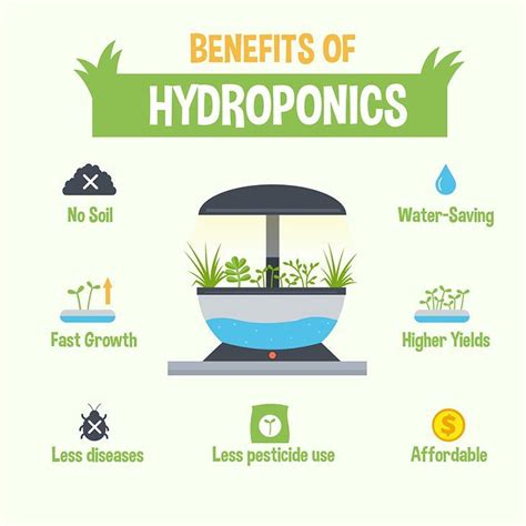 Benefits Of Hydroponics Hydroponic Gardening Hydroponic Farming