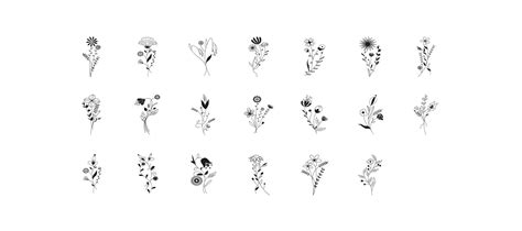 Premium Vector Meadow Fowers Set