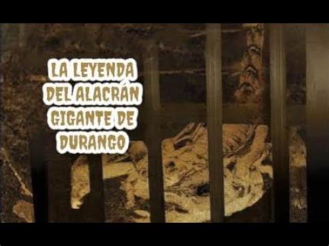 RELATANDO LEYENDAS ALACRAN GIGANTE DE DURANGO YouTube