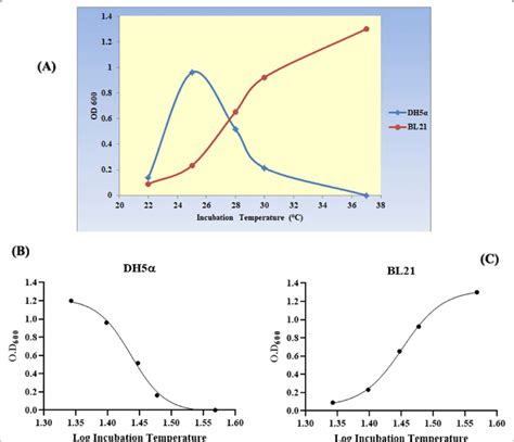 The Growth Kinetics Of Recombinant E Coli Dh And Bl De A