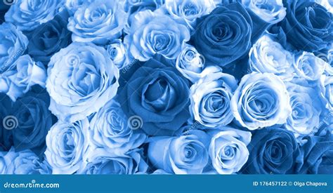 Details 100 blue rose background - Abzlocal.mx