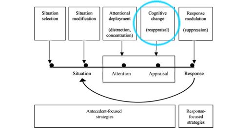 Cognitive Change – Psychology of Human Emotion: An Open Access Textbook