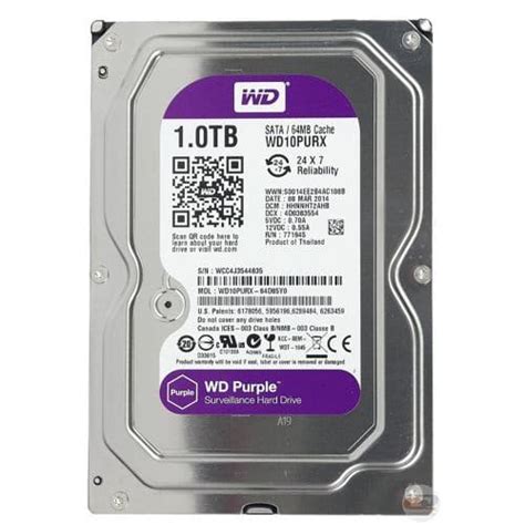 WD HDD Púrpura Disco Duro para videovigilancia 1 TB Discos Duros