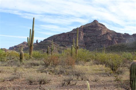 Organ Pipe National Monument - ON THE ROAD ARIZONA