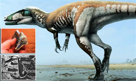 Lightning Claw Dinosaur Found In Australi Is Largest Carnivore Found