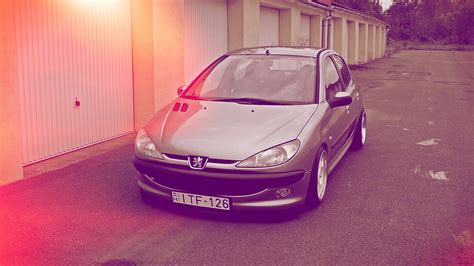 Peugeot 206 1 4 бензиновый 2003 Flushstyle на Drive2