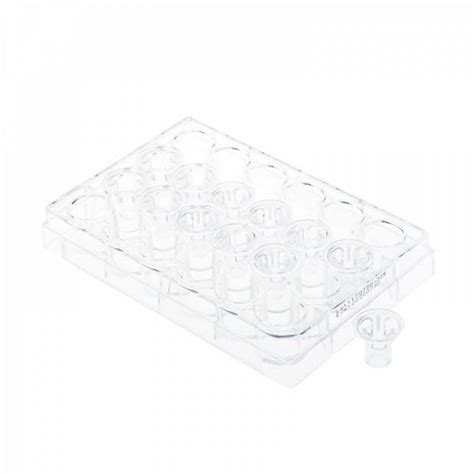 Permeable Cell Culture Inserts Morganville Scientific