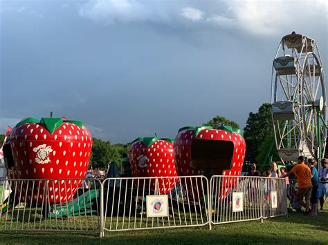 Strawberry Festival 2024 Near Me Hotels Teresa Wren