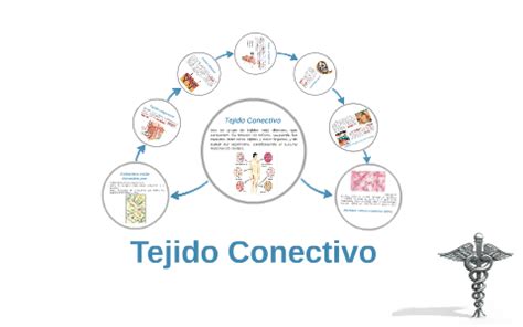 Tejido Conectivo by Héctor Gabriel Montero Lebrón on Prezi