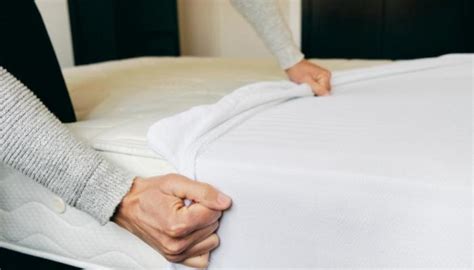 Discover Ways To Prevent A Bed Bug Takeover Save Your Mattress