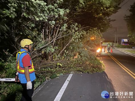 小犬颱風來襲 彰化多起路樹倒塌 蕃新聞