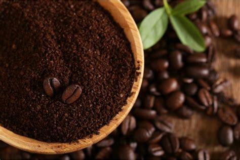 Are Coffee Grounds Good For Plants Botanic Box