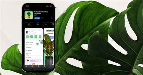 Apps De Iphone Que Sirven Para El Cuidado De Plantas En Casa