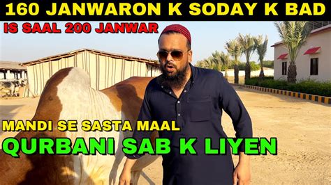 Janwaron Ka Soda Karne K Bad Ab Janwar Ka Hoga Soda Kingz