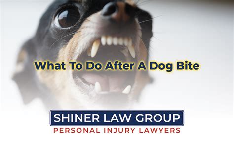 What To Do After A Dog Bite Shiner Law Group