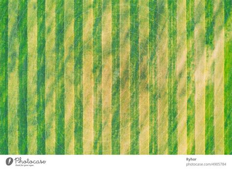 Aerial View Of Green Rice Field Texture Background Rice Plants Bend