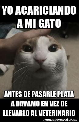 Meme Personalizado Yo Acariciando A Mi Gato Antes De Pasarle Plata A