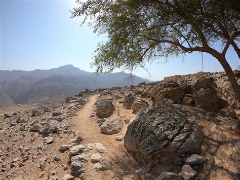 Hiking // Explore the lower trails of Jebel Jais // United Arab Emirates