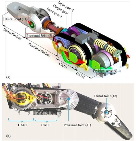 New Compact And Dexterous Robotic Finger That Can Withstand Physical