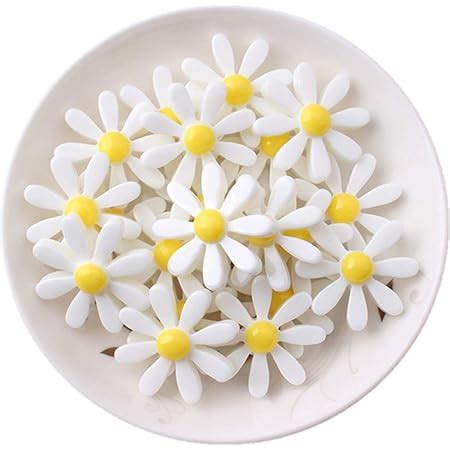 Amazon Pcs Assorted Sizes Daisy Charms Sunflower Resin