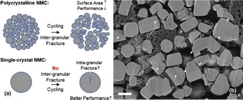 A Schematic Illustration Of Particle Fracture In Polycrystalline And