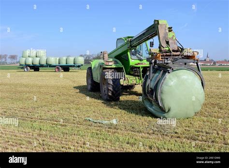 Loading Of Bales Of Italian Rye Grass Forage Grass Wrapped Bales