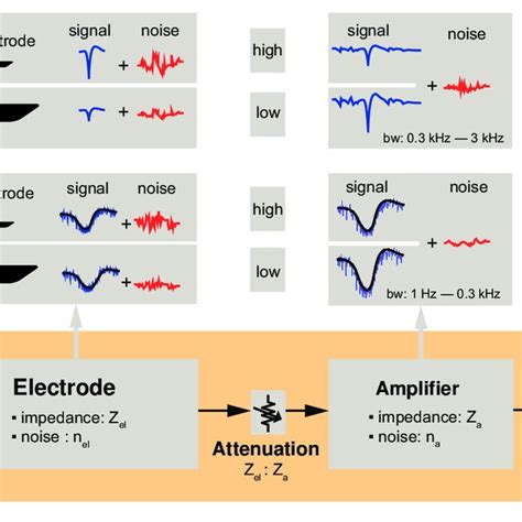 Extracellular Recording Chain Microelectrodes For Extracellular Download Scientific Diagram