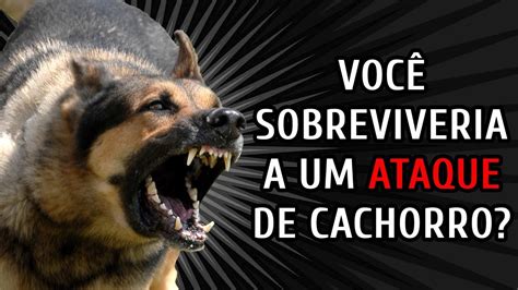 TESTE COMO SOBREVIVER A UM ATAQUE DE CACHORRO YouTube