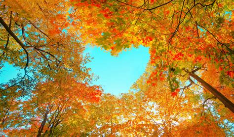 September Equinox 2023 Update