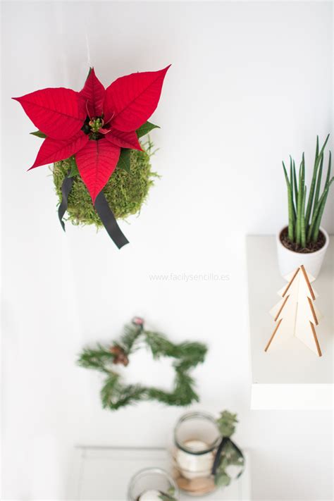 Kokedama De Navidad Con Poinsettia Fácil Y Sencillo