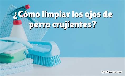 C Mo Limpiar Los Ojos De Perro Crujientes Loscomos