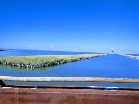 Valli Di Comacchio Argine Degli Angeli Parco Del Delta Del Po