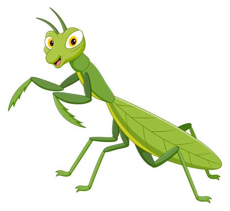 300 Green Locust Cartoon Stock Illustrations Royalty Free Vector
