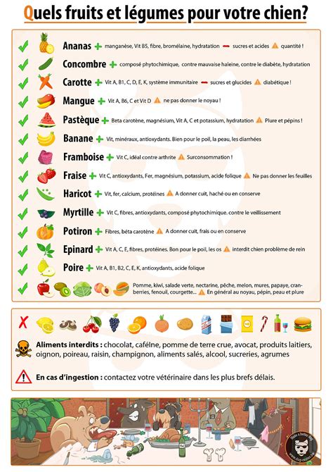 Conseils Quels Fruits Et L Gumes Pour Votre Chien