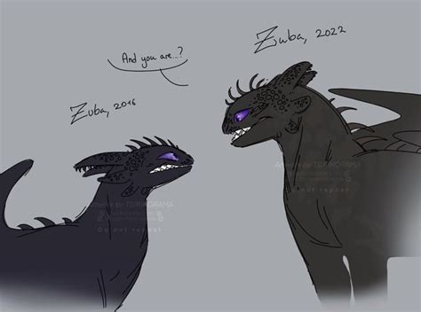Finally Updated My First Ever Httyd Oc Reference Sheet Other Sketches