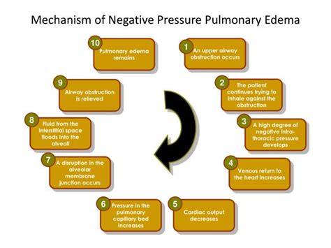 PPT - Laryngeal Spasm and Negative Pressure Pulmonary Edema PowerPoint ...