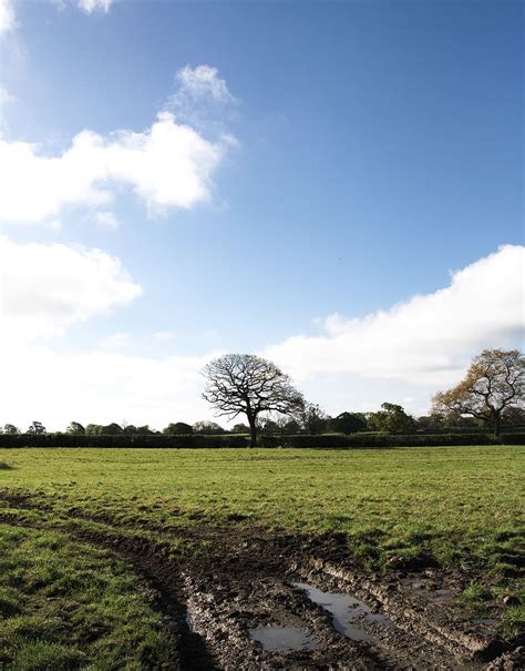 Hd Wallpaper Outdoors Puddle Ground Ditch Field Grassland Plant