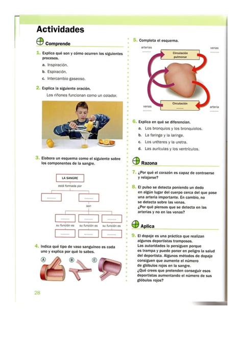 Conocimiento Del Medio Primaria Santillana Pdf