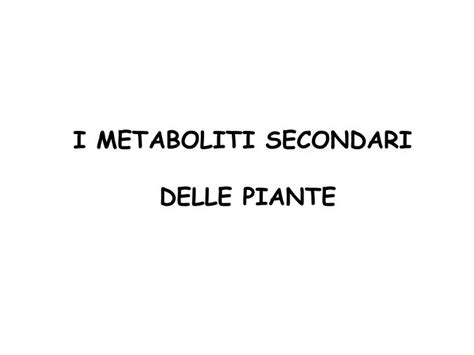 Ppt I Metaboliti Secondari Delle Piante Powerpoint Presentation Free