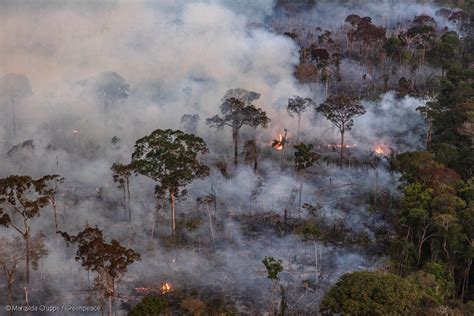 Fuma A De Queimadas Faz Mal Sa De Greenpeace Brasil