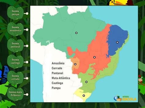 Arraste Bioma Brasileiro Labelled Diagram