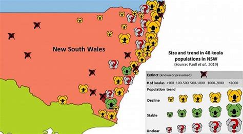 Australian State Says All Of Its Koalas Will Be Extinct By 2050