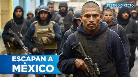 Las Pandillas De El Salvador Se Refugian En M Xico Con El Apoyo Del