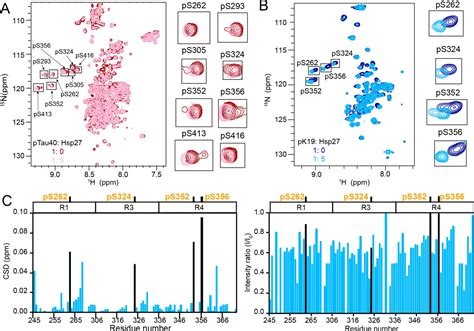 Specific Binding Of Hsp27 And Phosphorylated Tau Mitigates Abnormal Tau