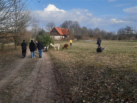 Burzynska Agnieszka on Twitter Świąteczny spacer w baaaardzo szerokim