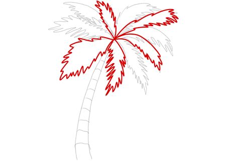 How To Draw A Palm Tree Design School