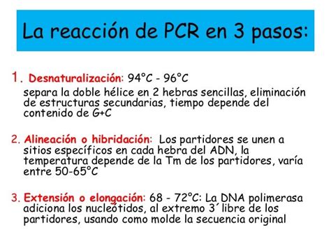 Reacción En Cadena De La Polimerasa Pcr