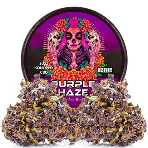 Susz Konopny CBD Purple Haze 02thc Pl